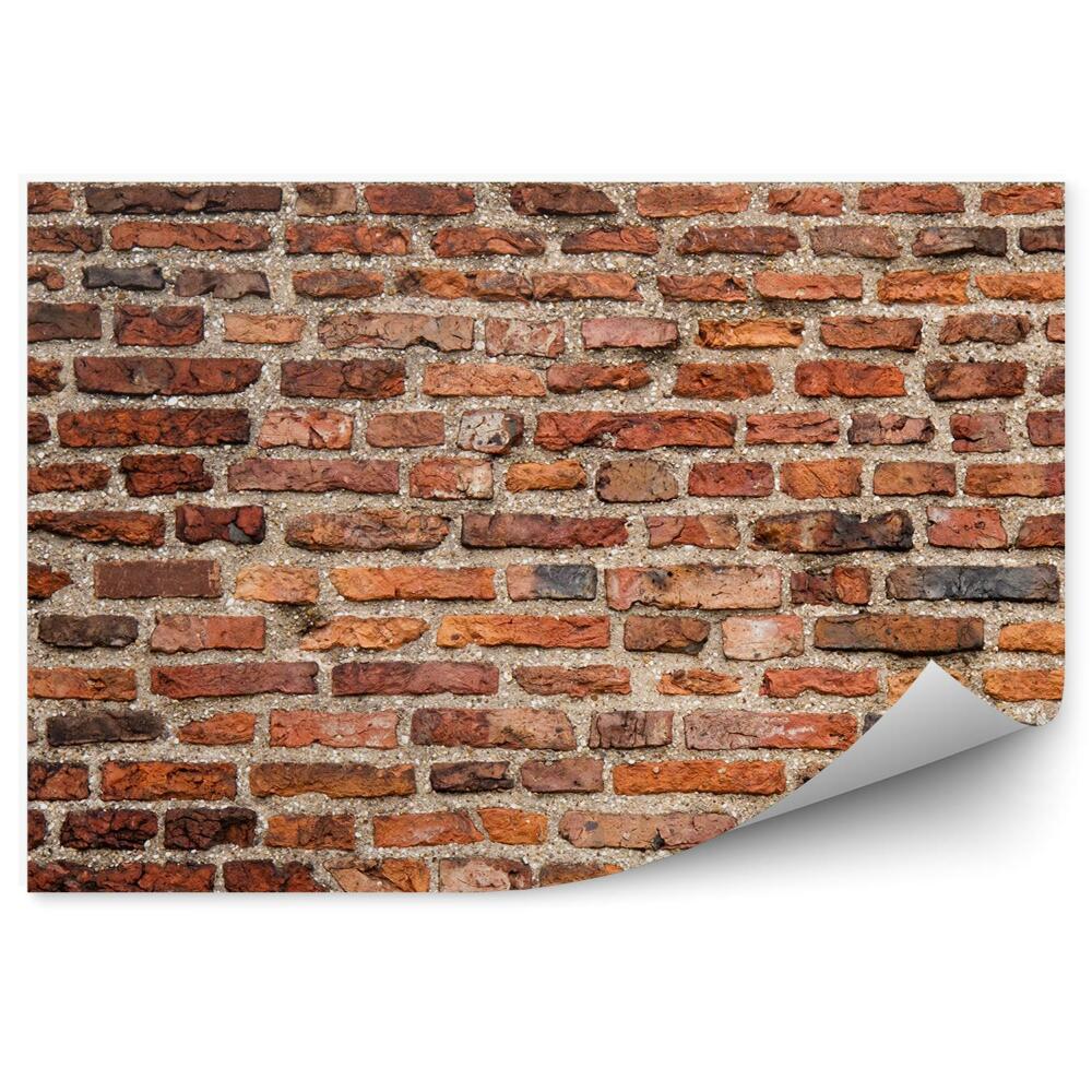 Papier peint Mur en briques vieillies