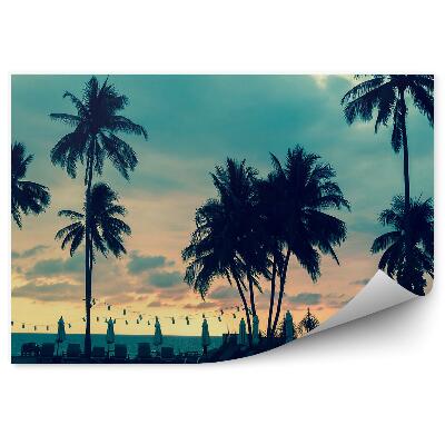 Papier peint Palmiers sur la plage piscine eau chaises longues soirée