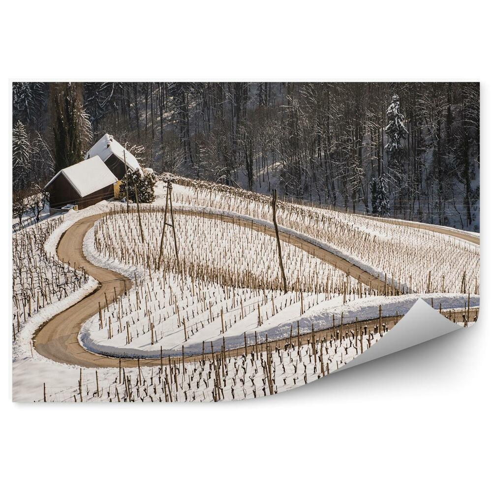 Papier peint Route enneigée en hiver en forme de coeur nature