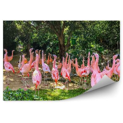 Papier peint Flamant Rose Plantes Palmiers Feuilles Exotiques