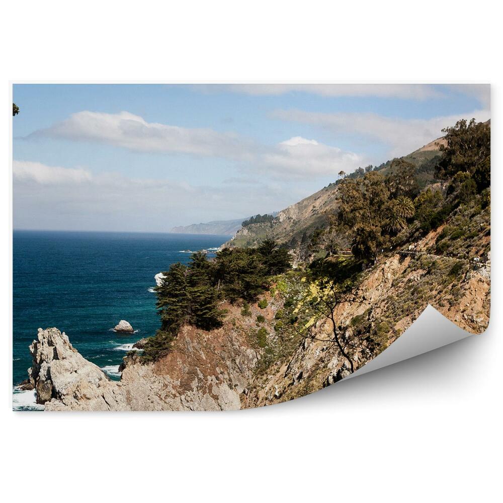 Papier peint Falaises Océan Ciel Nuages Arbres Californie