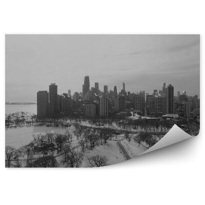 Papier peint Sépia Gratte-ciel Voitures Arbres Route Hiver Neige