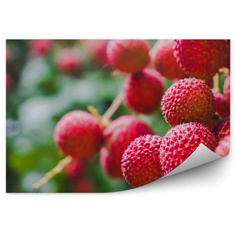 Papier peint panoramique Fruits rouges feuilles de litchi