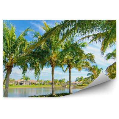 Papier peint Palmiers Lacs Maisons Ponts Plantes
