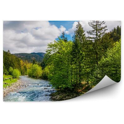 Papier peint Arbres verts de la forêt Arbres de Noël Rivière