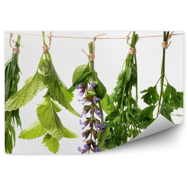 Papier peint panoramique Menthe sauge herbes fraîches