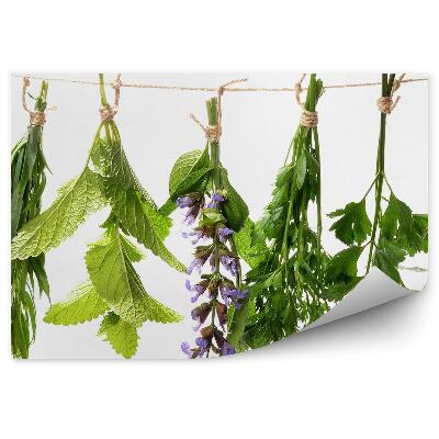 Papier peint panoramique Menthe sauge herbes fraîches