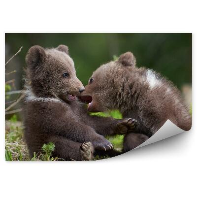 Papier peint Ours Dans La Forêt