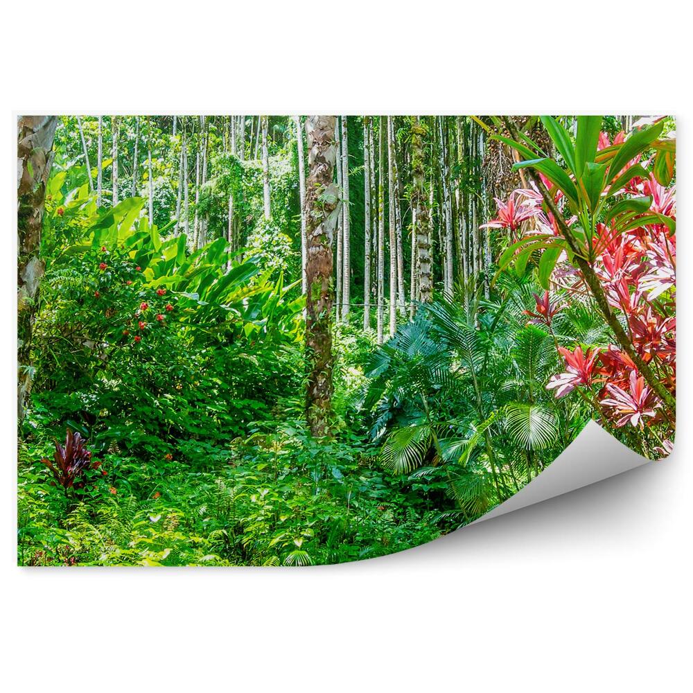 Papier peint Jungle Plantes Hawaii