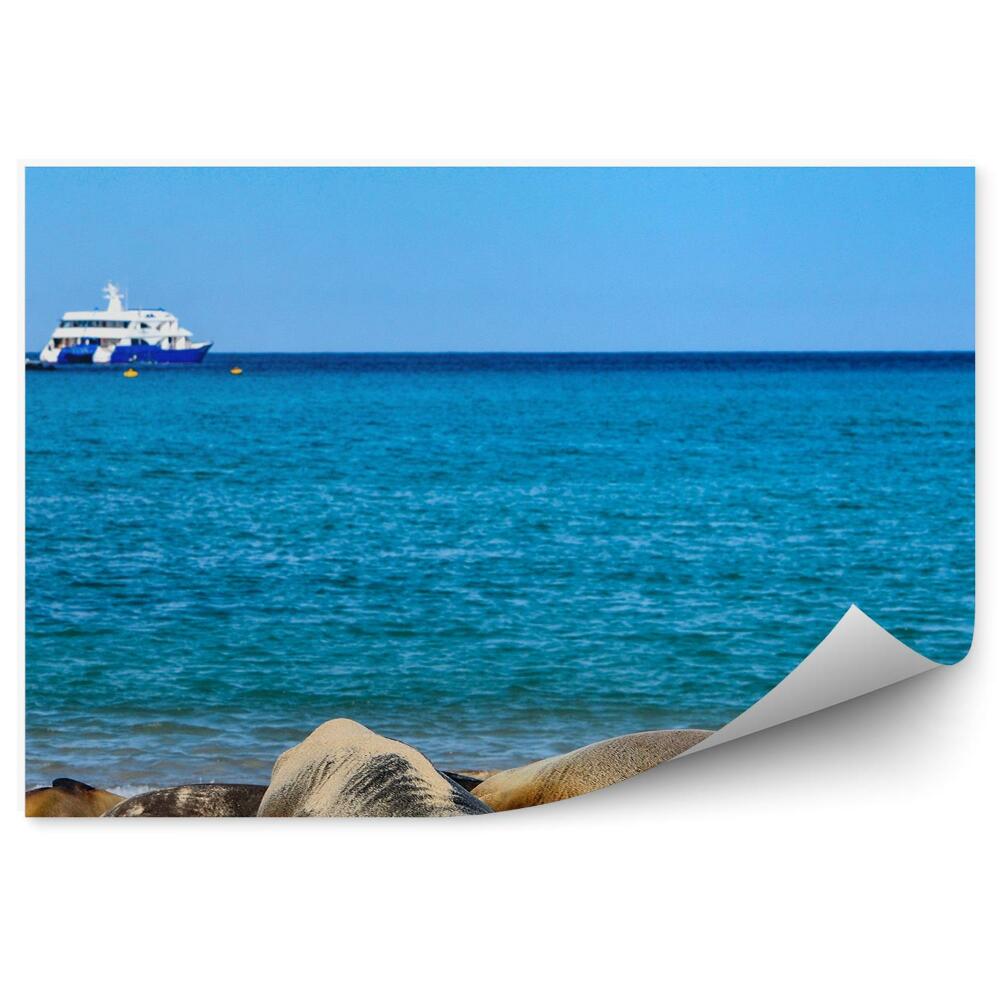 Papier peint Île De La Tortue Lions De Mer Yacht Ciel Plage