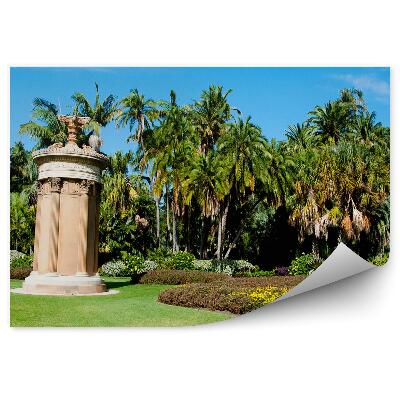 Papier peint Jardin botanique de Sydney Palmiers