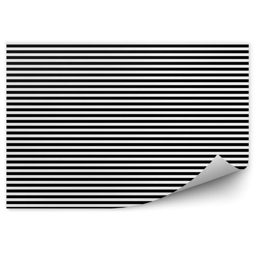 Papier peint Motif de rayures horizontales noires et blanches