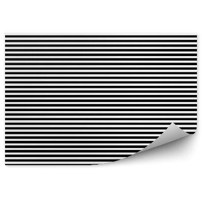 Papier peint Motif de rayures horizontales noires et blanches