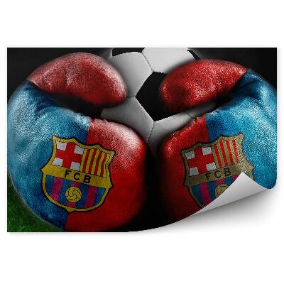 Papier peint Boxe et football fc barcelone turf