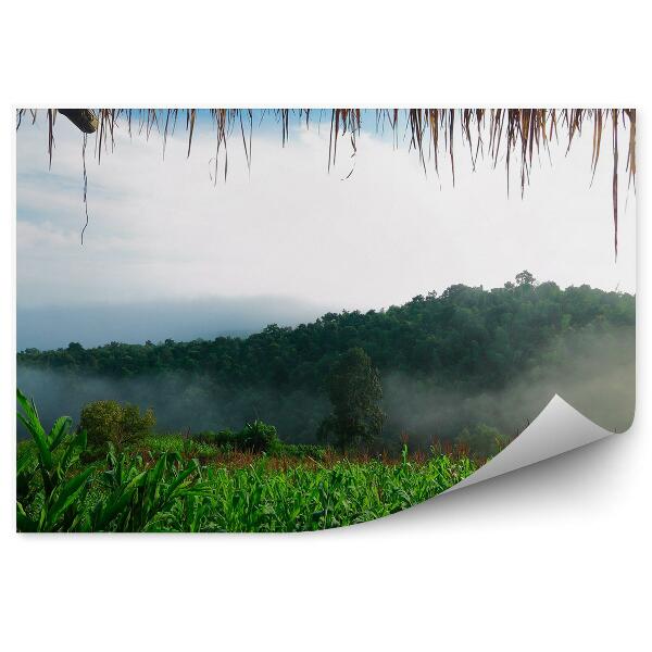 Papier peint Forêt dans la brume vue de la cime des arbres depuis le chalet