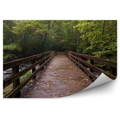 Papier peint Pont De Montagne Arbres Plantes Feuilles