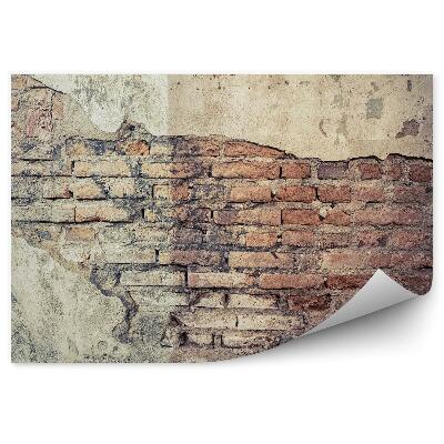 Papier peint Fissure dans un vieux mur enduit