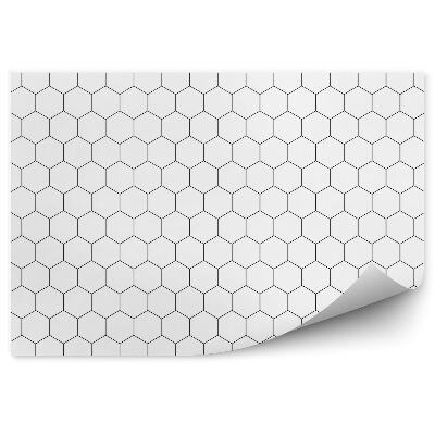 Papier peint Fond blanc bords noirs motif hexagones