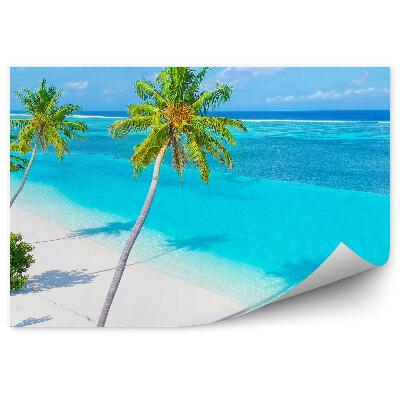 Papier peint Plage de sable Palms Intense Colours