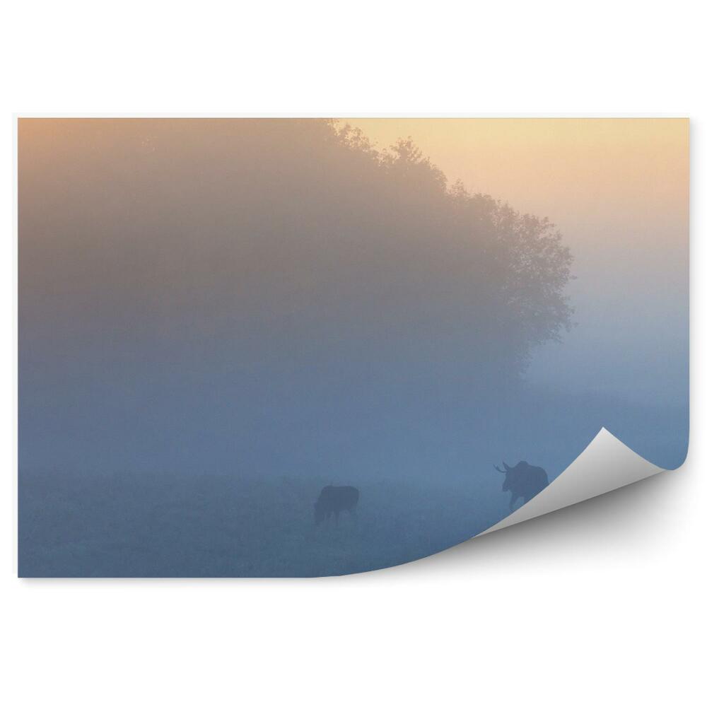 Papier peint Troupeau D'élans Arbre Herbe Coucher De Soleil Brume Matinale