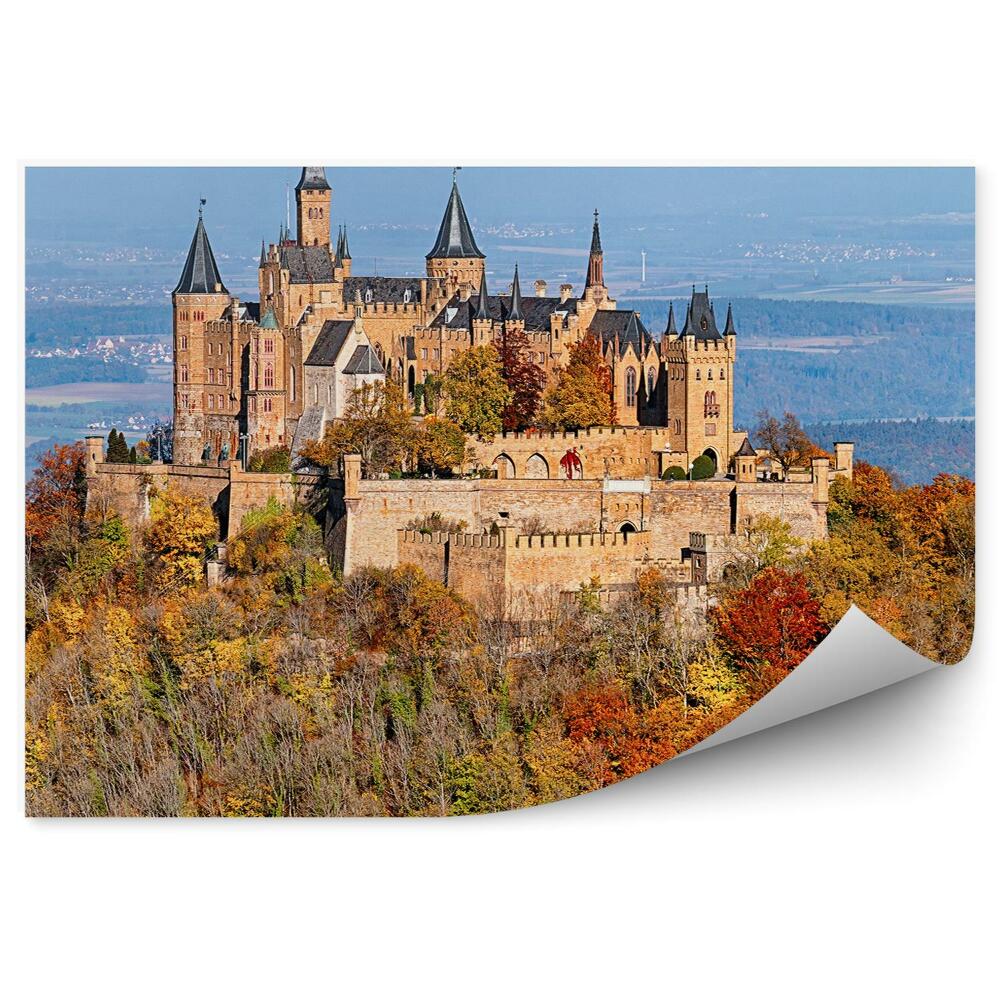 Papier peint Château Hohenschwangau Alpes Bavaroises Conifères Montagnes