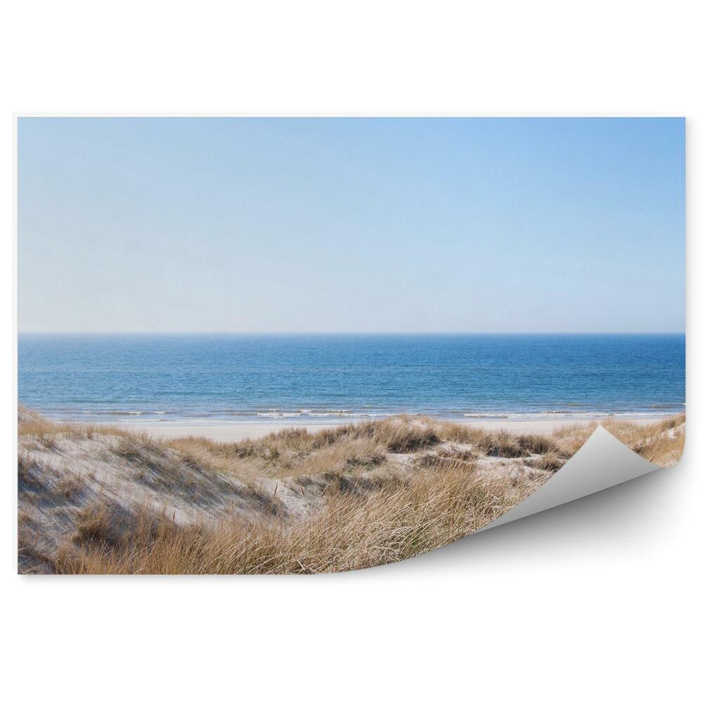 Papier peint Mer Du Nord Dunes Herbe Plage Sable Ciel