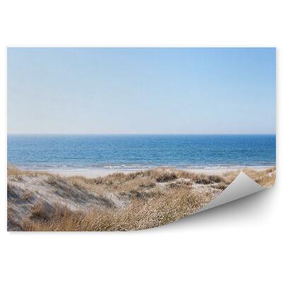 Papier peint Mer Du Nord Dunes Herbe Plage Sable Ciel