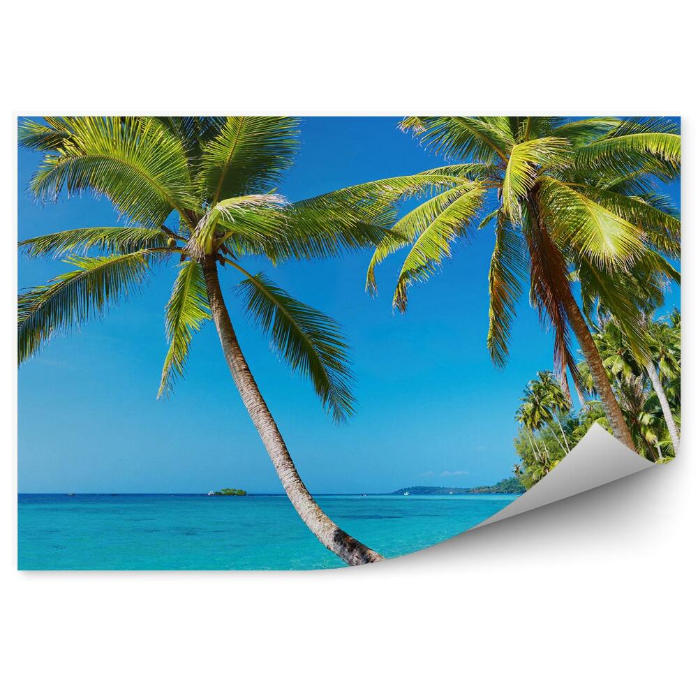 Papier peint Palmiers plage tropicale thailande