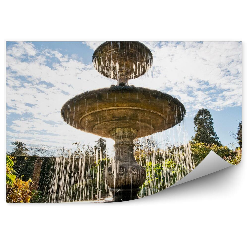 Papier peint Fontaine Jardin Eau Végétation