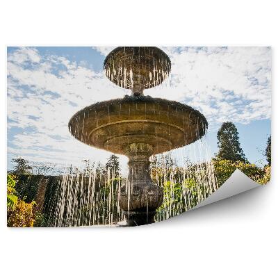Papier peint Fontaine Jardin Eau Végétation