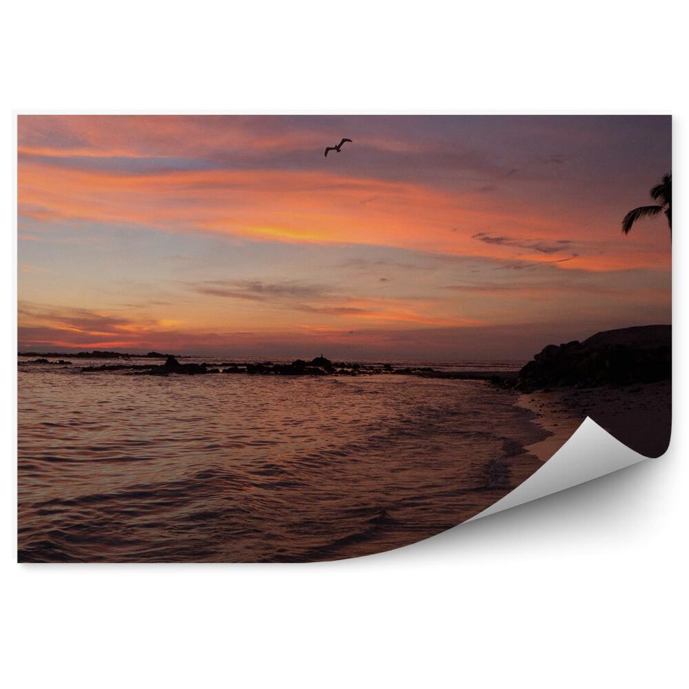 Papier peint Coucher De Soleil Plage Palmiers Océan Oiseaux Tropiques