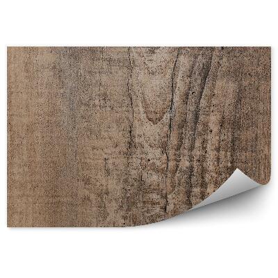 Papier peint Texture du bois foncé