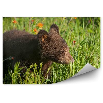 Papier peint Ours Dans Une Prairie Et Fleurs