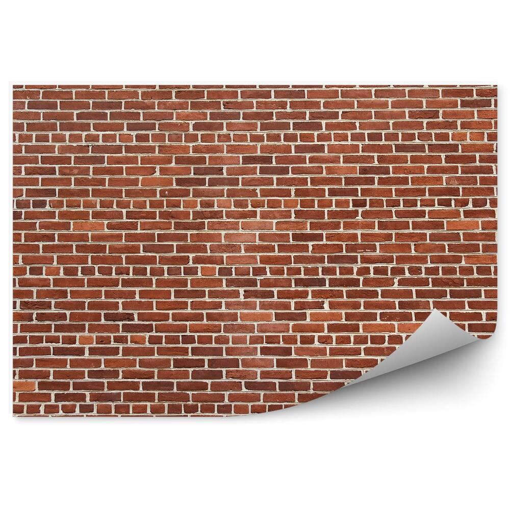 Papier peint Mur de briques