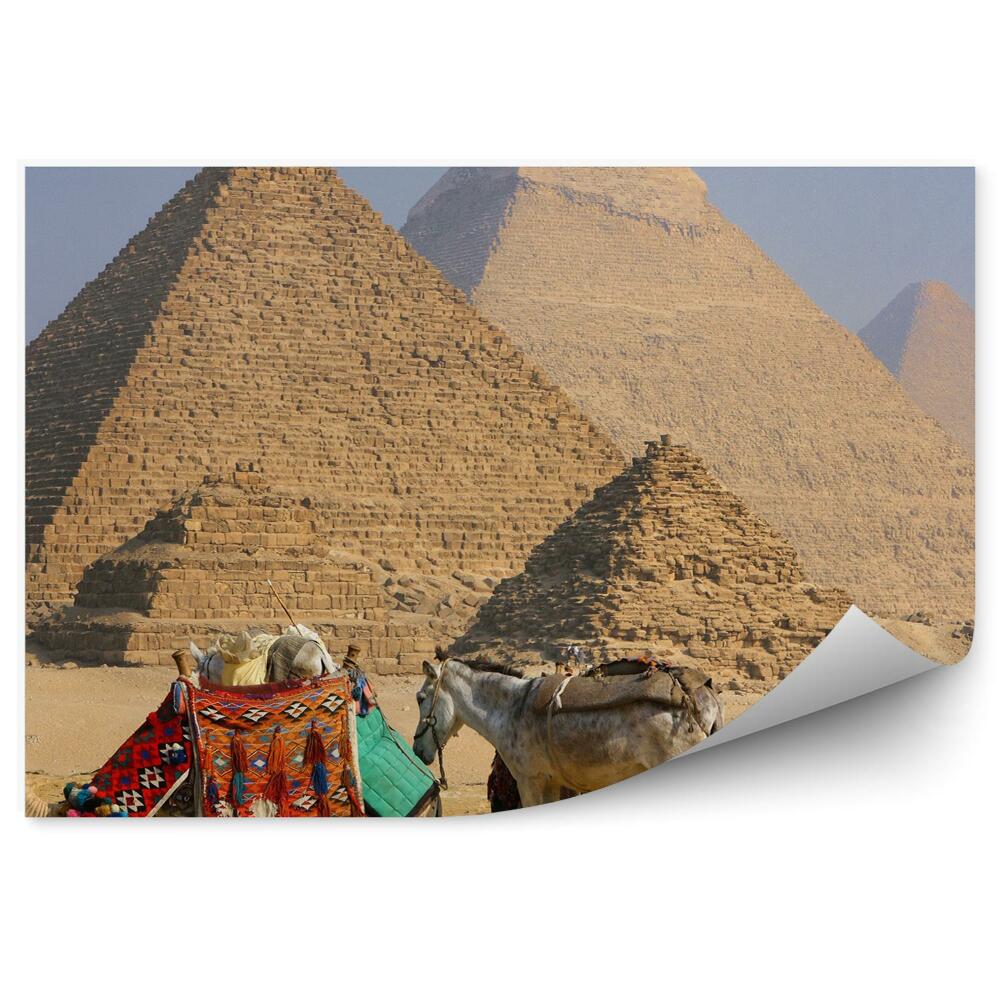 Papier peint Bédouin âne chameau pyramides sable