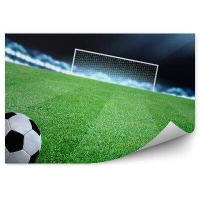 Papier peint Ballon de but sur un terrain de football
