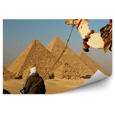 Papier peint Pyramides de Gizeh hommes chameaux