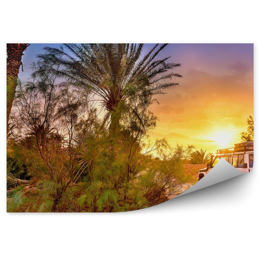 Papier peint Jeep Palmiers Route Coucher De Soleil