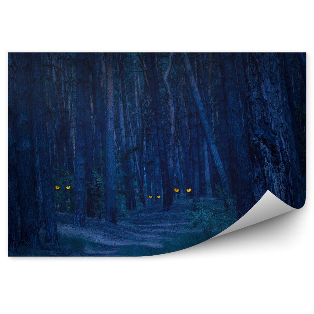 Papier peint Forêt Sombre Hantée