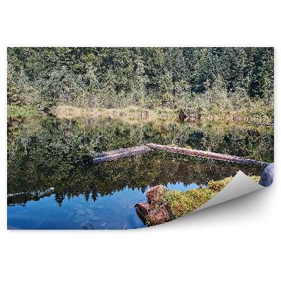 Papier peint Lac de montagne dans la forêt