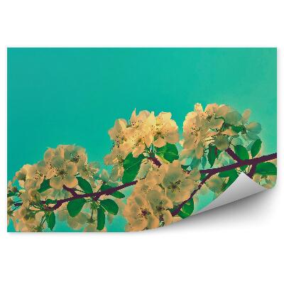 Papier peint Branche de fleur de pommier fond vert