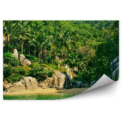 Papier peint Mexique plage nature palmiers rochers escalier en bois