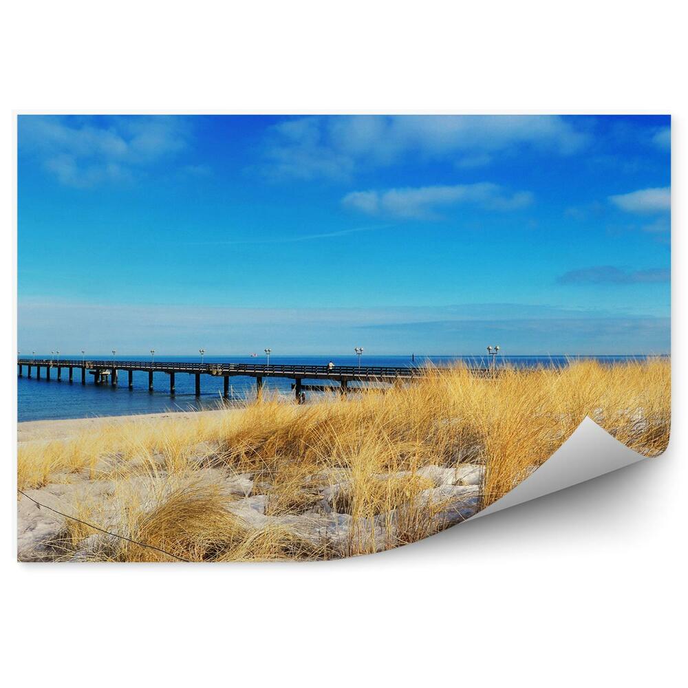 Papier peint Pont Mer Plage Herbe Ciel Nuages