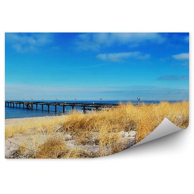 Papier peint Pont Mer Plage Herbe Ciel Nuages