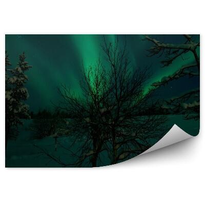 Papier peint Arbre foncé