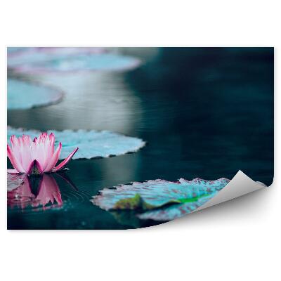 Papier peint Étang sombre et fleur de lotus