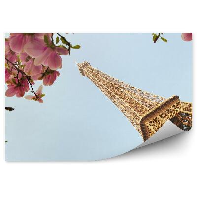 Papier peint Arbre en fleur magnolia Paris tour eiffel