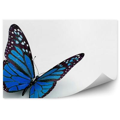 Papier peint Papillon Bleu Ailes Blanches Taches Blanches
