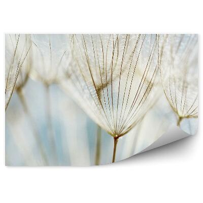 Papier peint Fleur soufflée abstraite