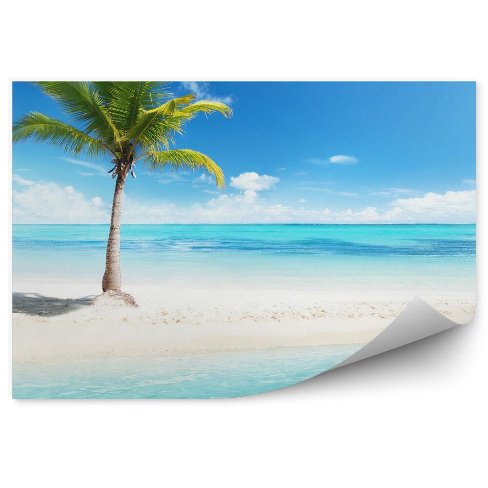 Papier peint Palmiers solitaires sur une plage aux eaux bleues